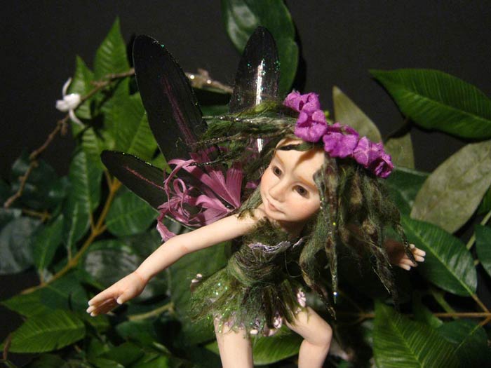 Fairy Fae Alga